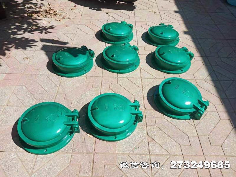 沙依巴克玻璃钢止水拍门