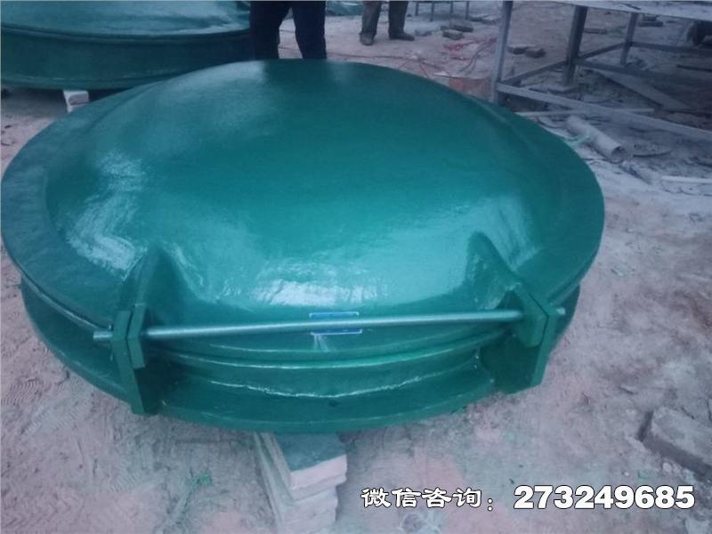 浏阳轻质玻璃钢拍门