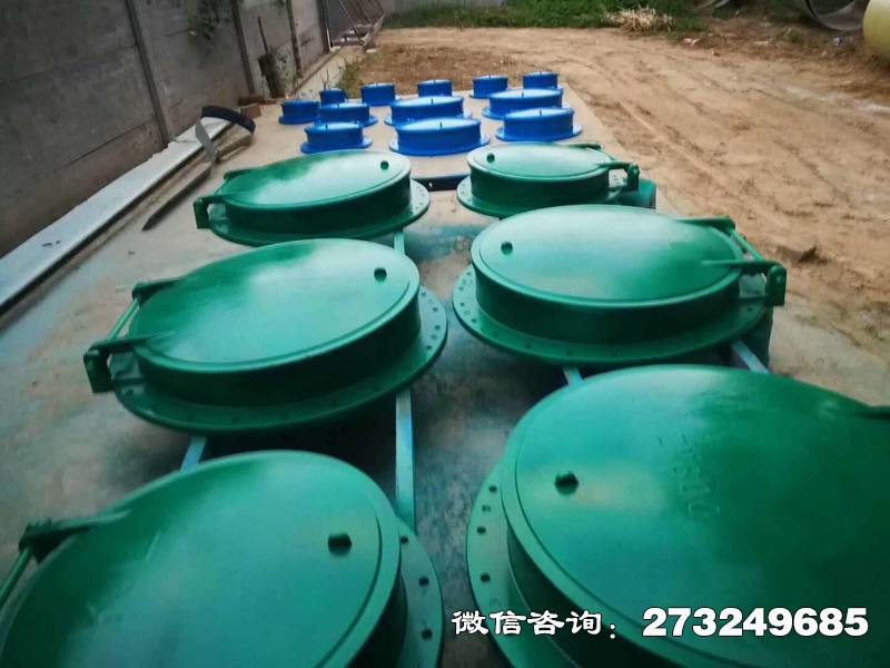 三亚市政管道口玻璃钢拍门