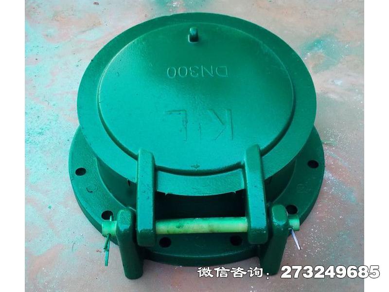 荷塘dn300复合材料拍门
