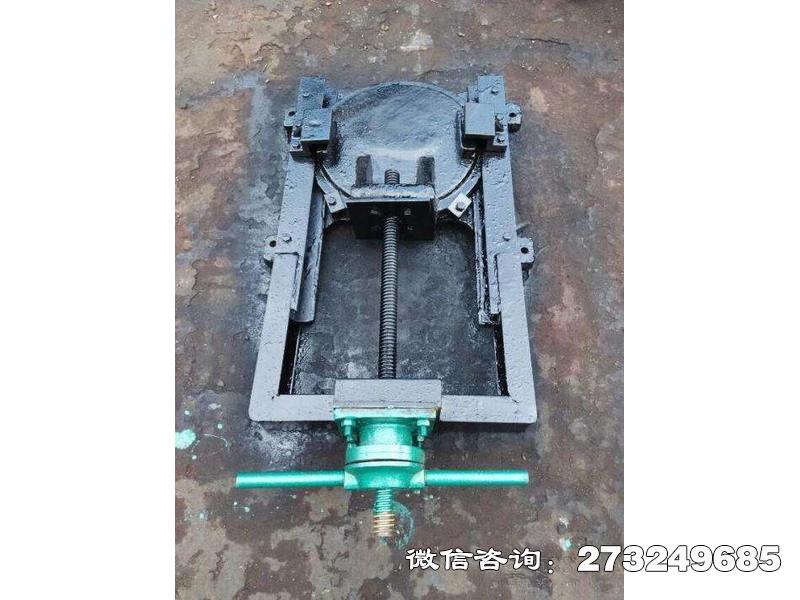 蒙城县启闭机闸门一体机